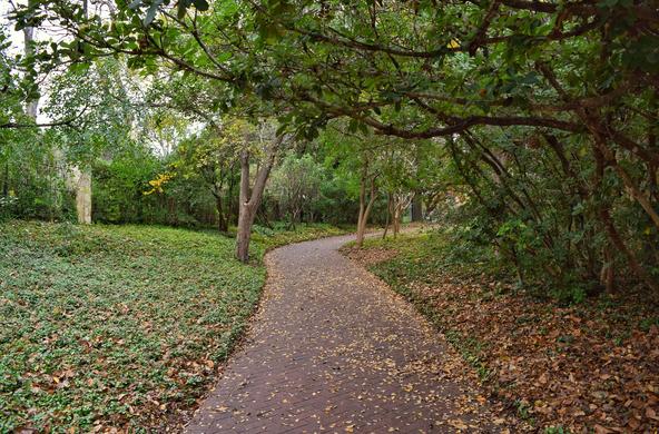 Quiet urban park 