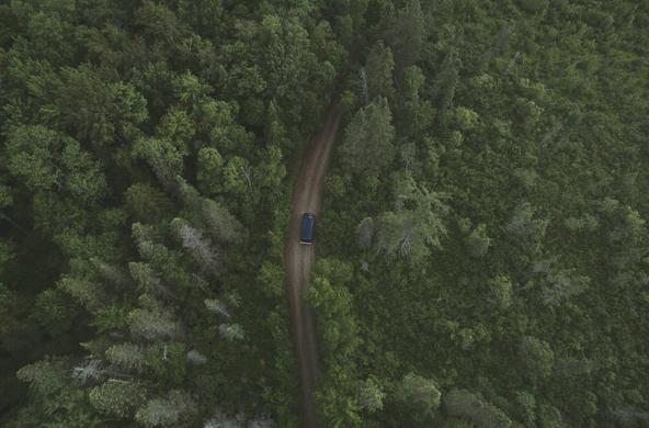 adirondack forest aerial