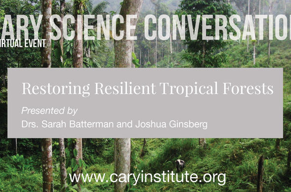 CSC tropical forests
