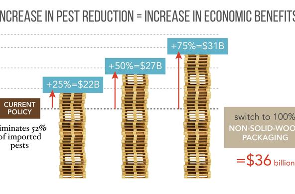 wood packaging and invasive pests graphic