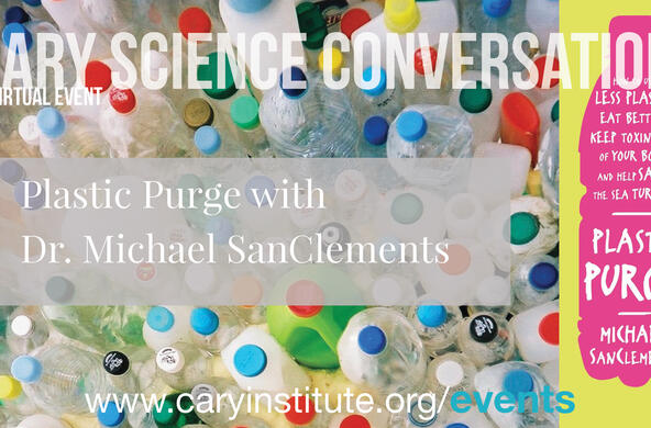 plastic purge