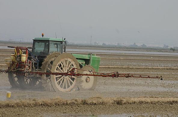 fertilizer
