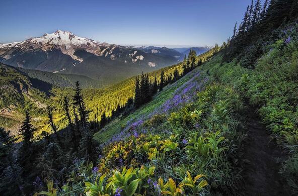 glacier_peak_cascades_cc_andy_porter