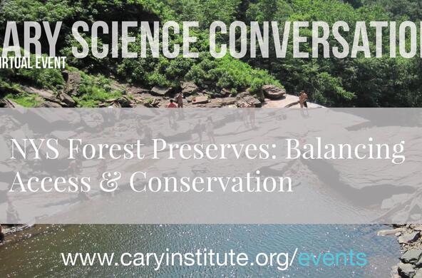 nys forest preserves event