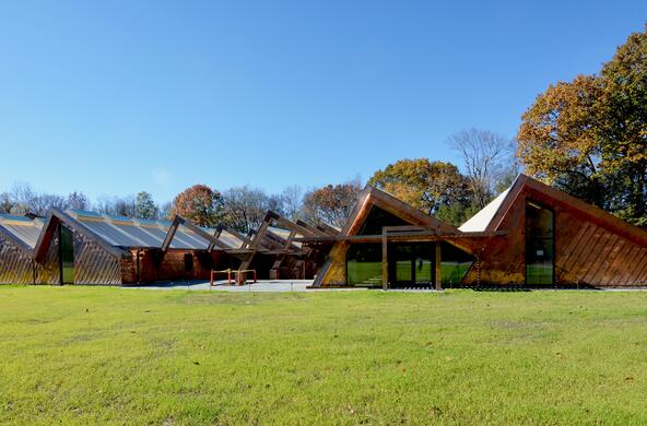 renovation