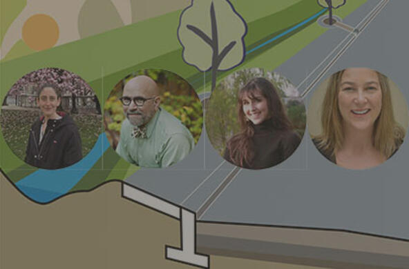governing green contributors