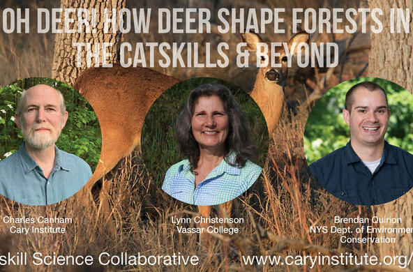 deer webinar