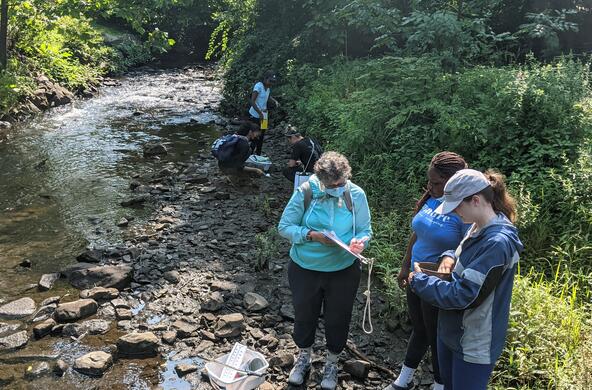 Cary Institute MH-YES soil studies along Fall Kill Creek in Poughkeepsie, NY