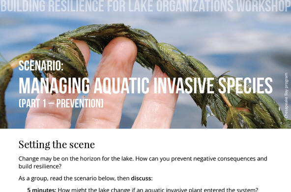 workshop scenarios-invasives