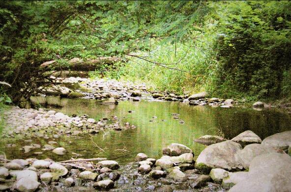 creek in michigan