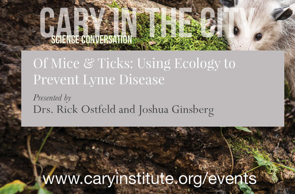 of mice and ticks