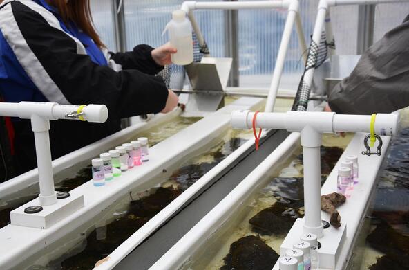 artificial stream facility