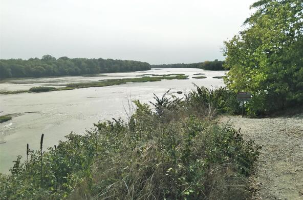 Rapids of the Maumee River, Ohio