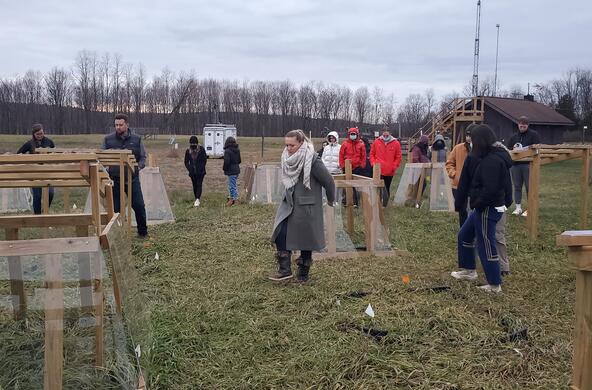 stressed out soils plots