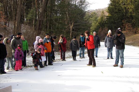 winter walk