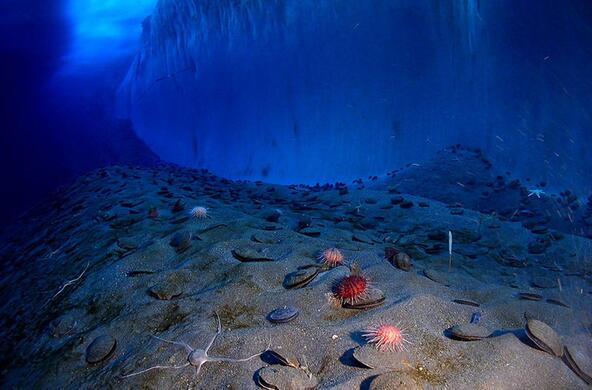 ocean_floor_mcmurdo