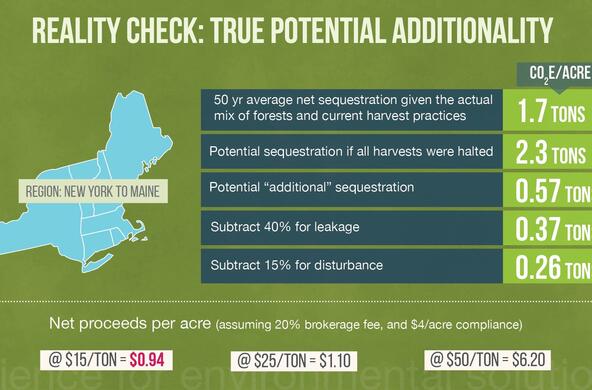 carbon offsets