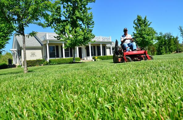 Riding mower on large green lawn