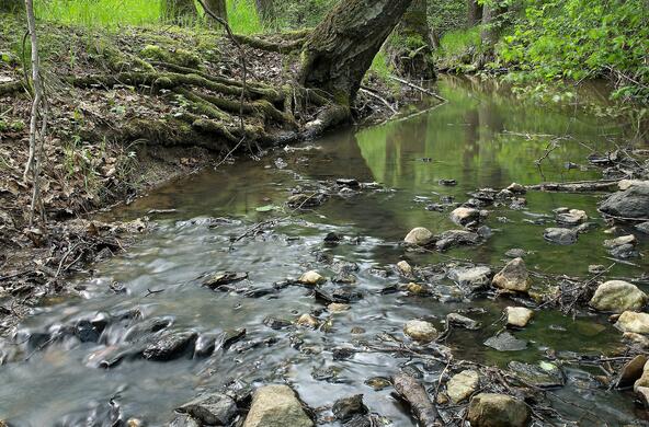 Small stream