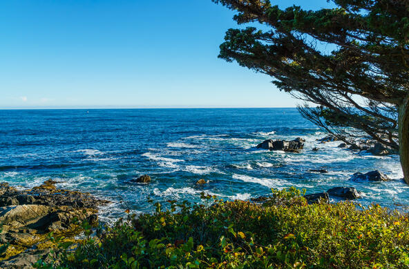 The Gulf of Maine