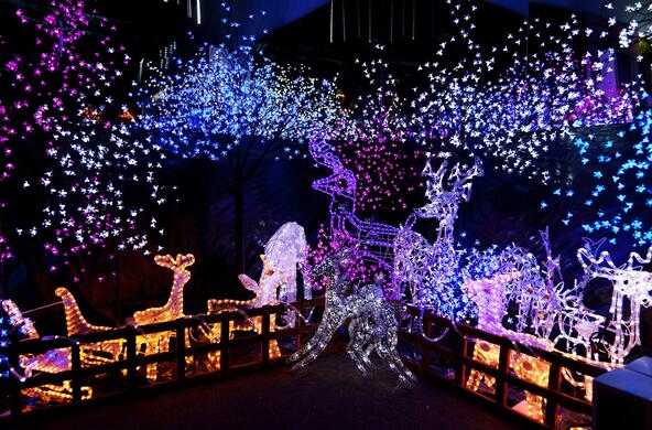An outdoor holiday light display