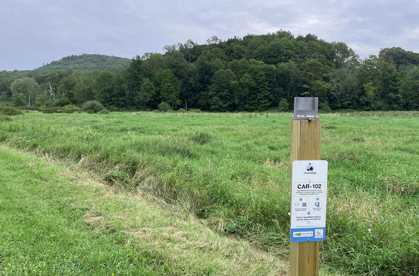 a chronolog post along the Lowlands trail looks over a wetland and Tea House Hill