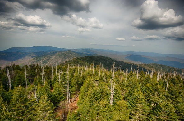 smoky mountains