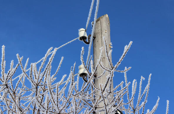 Frosty power lines after a winter storm