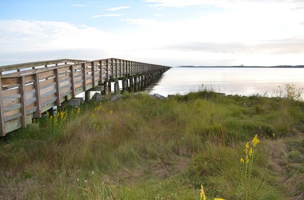 A coastal North Carolina landscape
