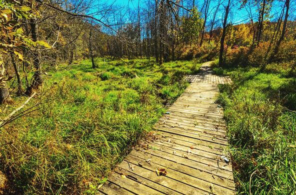 ephemeral wetland