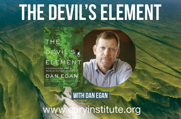 devil's element