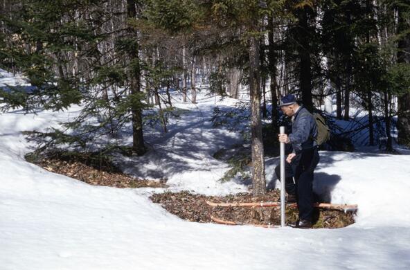 Person in skis uses a pole to measure snow depth