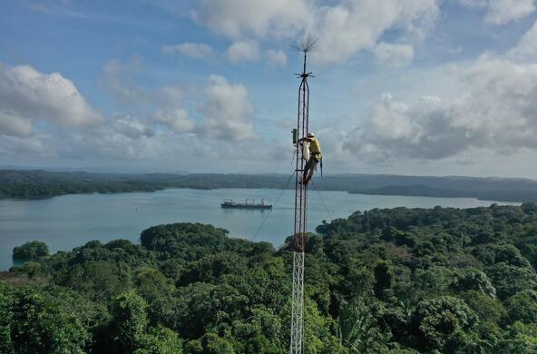 person climbing a tower over the rainforest
