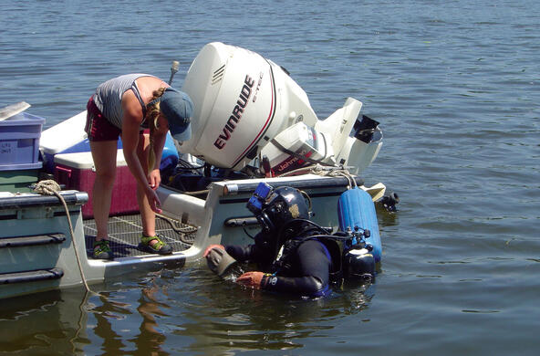 sampling on the Hudson River