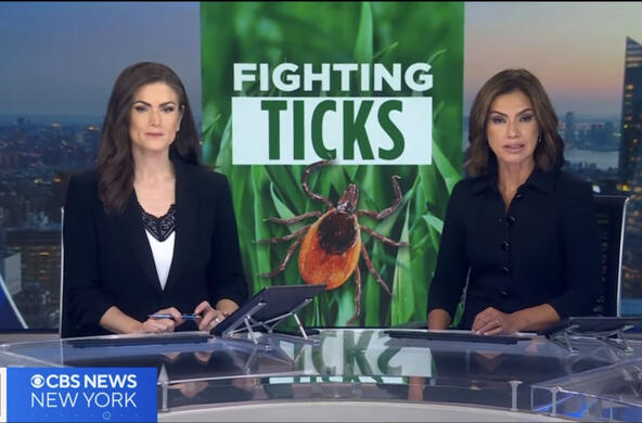 cbs news fighting ticks