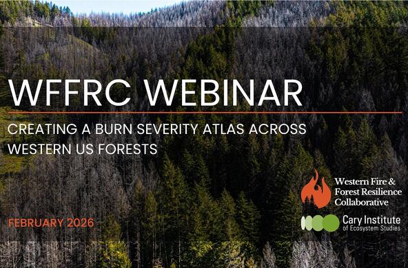 wffrc webinar