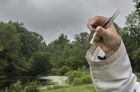tick sampling