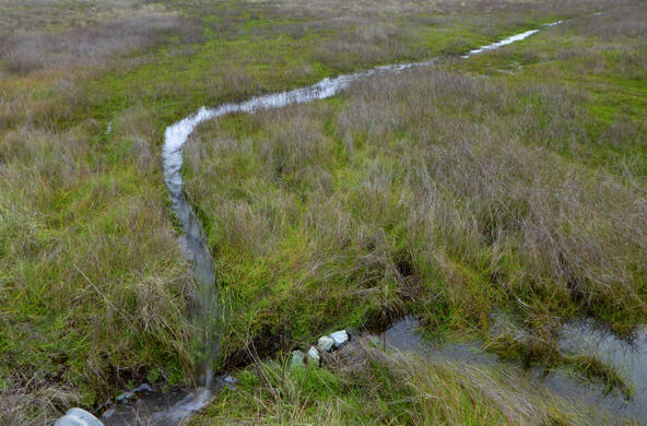 ephemeral stream