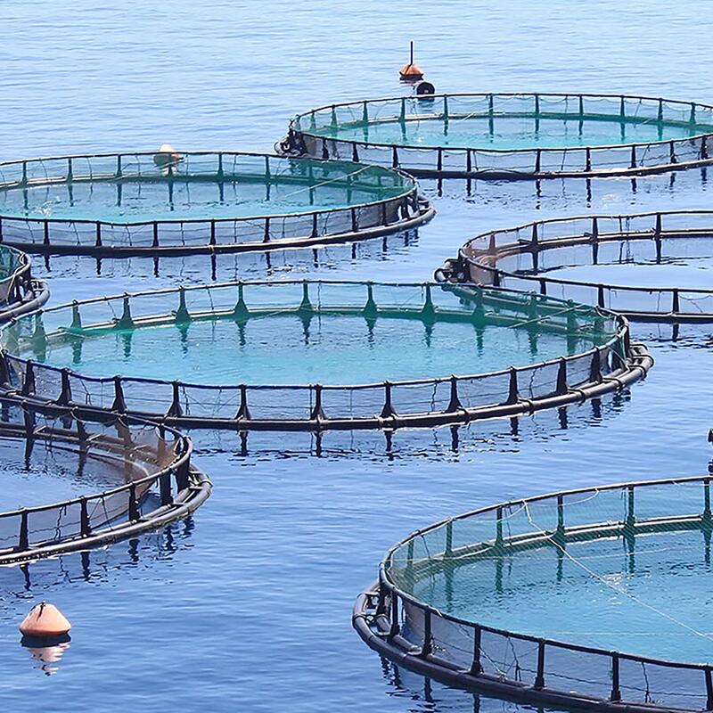fish farm