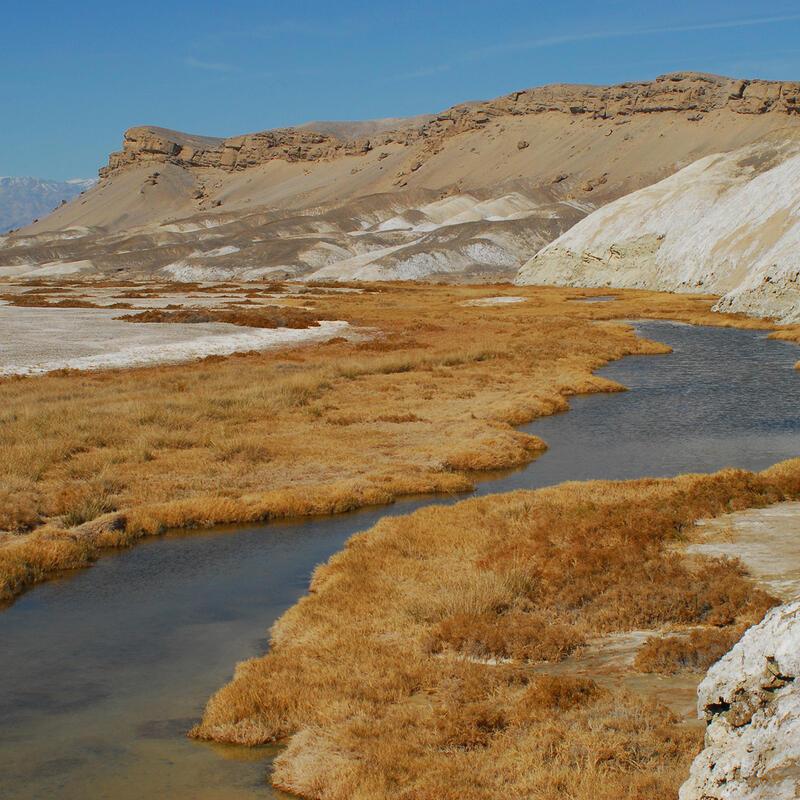 Salt Creek in Death Valley, California