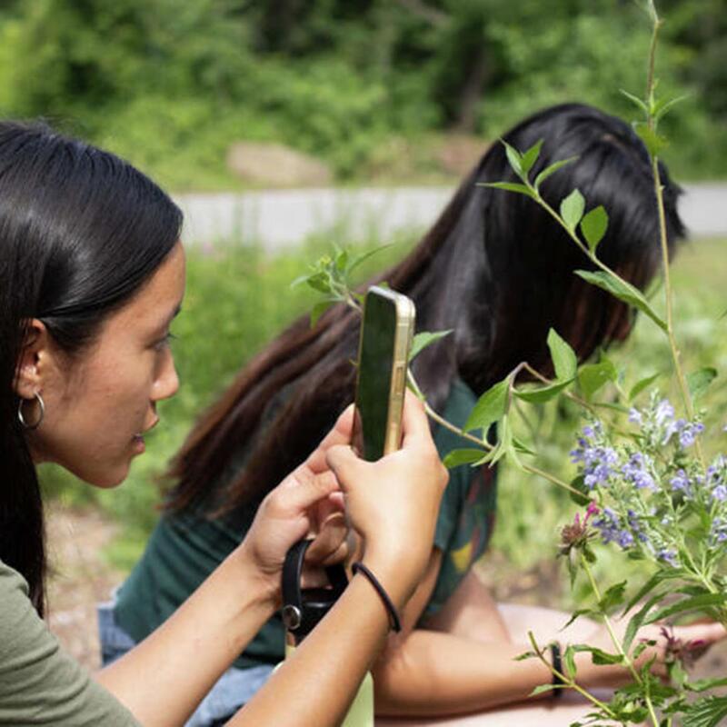 bioblitz
