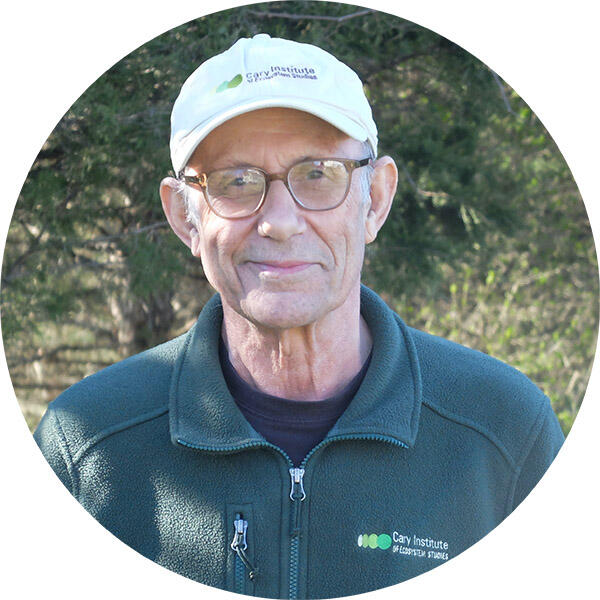 clive jones