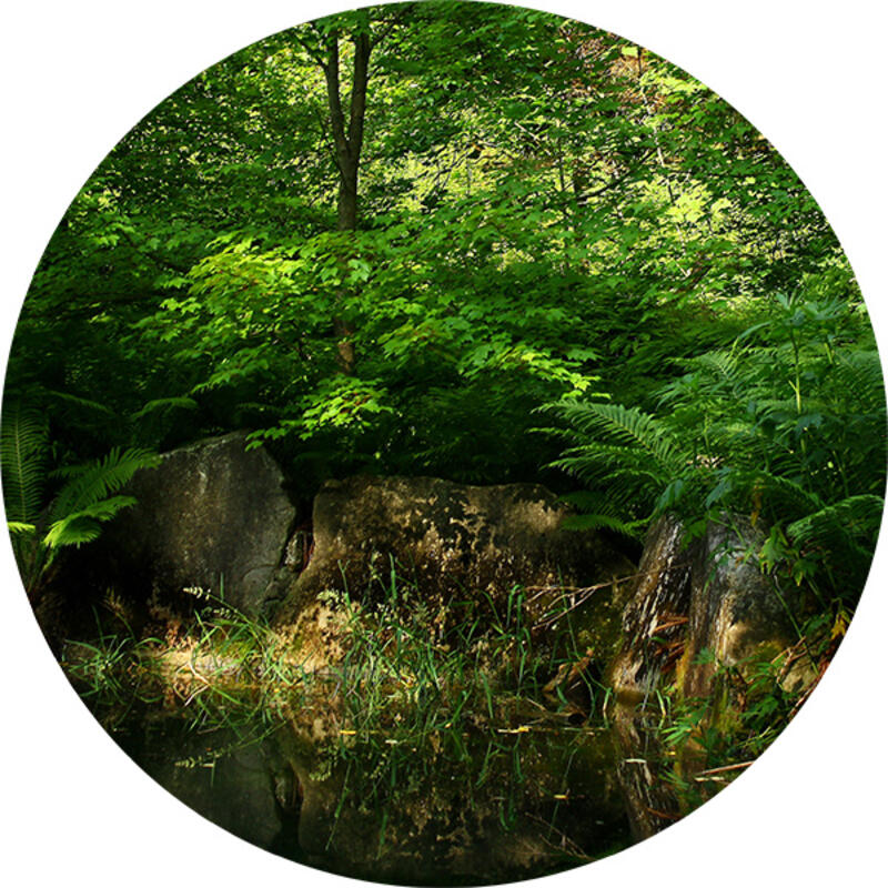 placer bio image