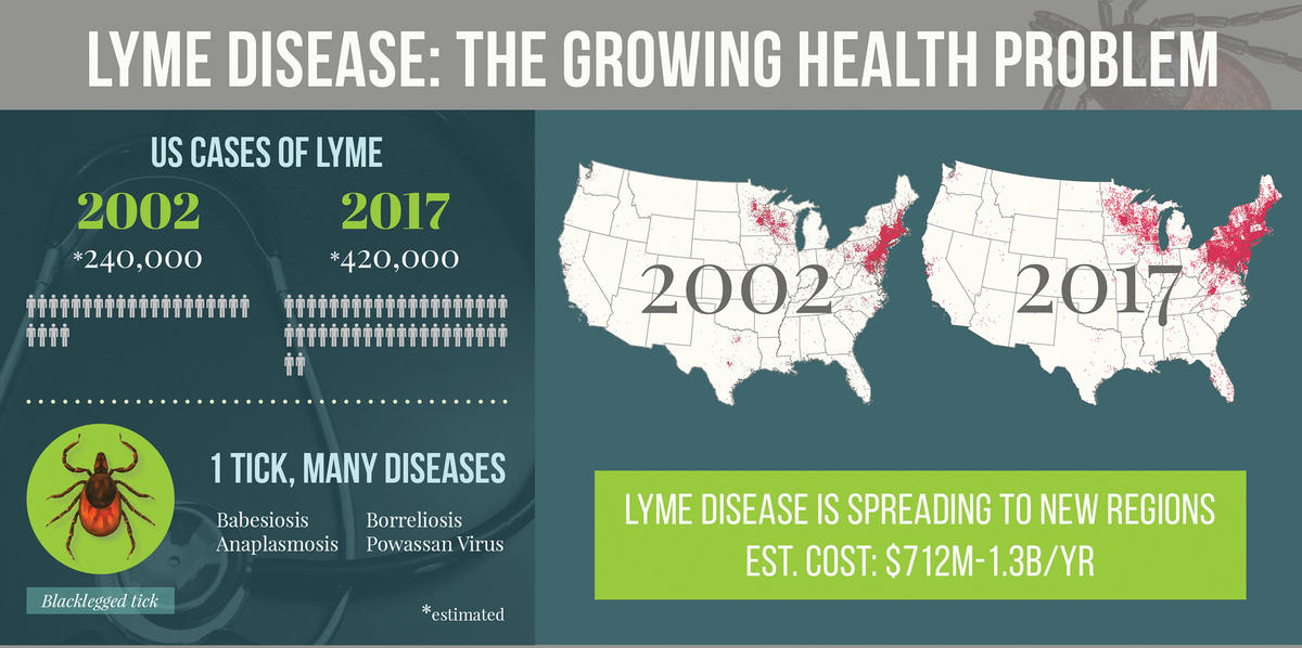 Graphic: Lyme disease statistics cc by Leslie Tumblety/Cary Institute
