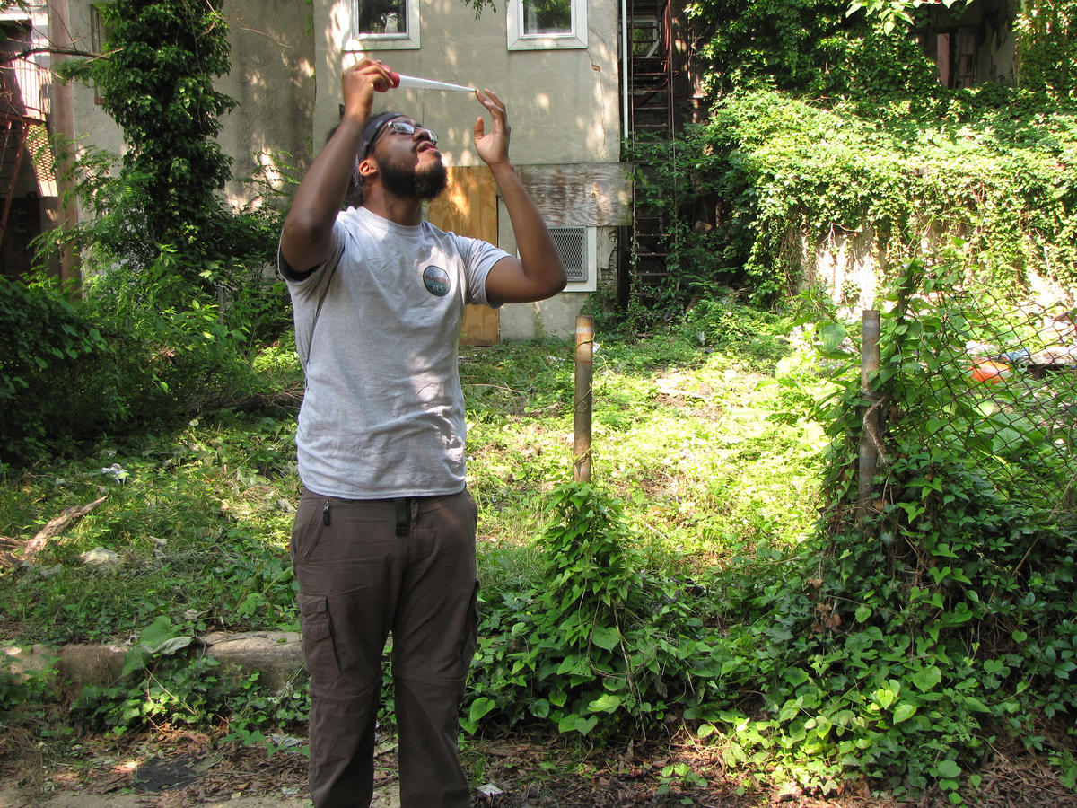 Baltimore sampling for mosquitoes CC BES