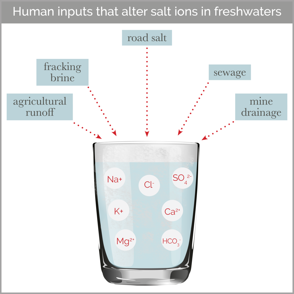 Salt inputs CC:Leslie Tumblety