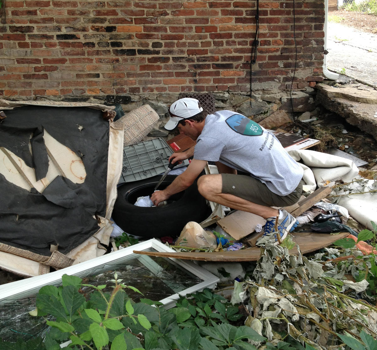 Baltimore Ecosystem Study (BES) mosquito sampling