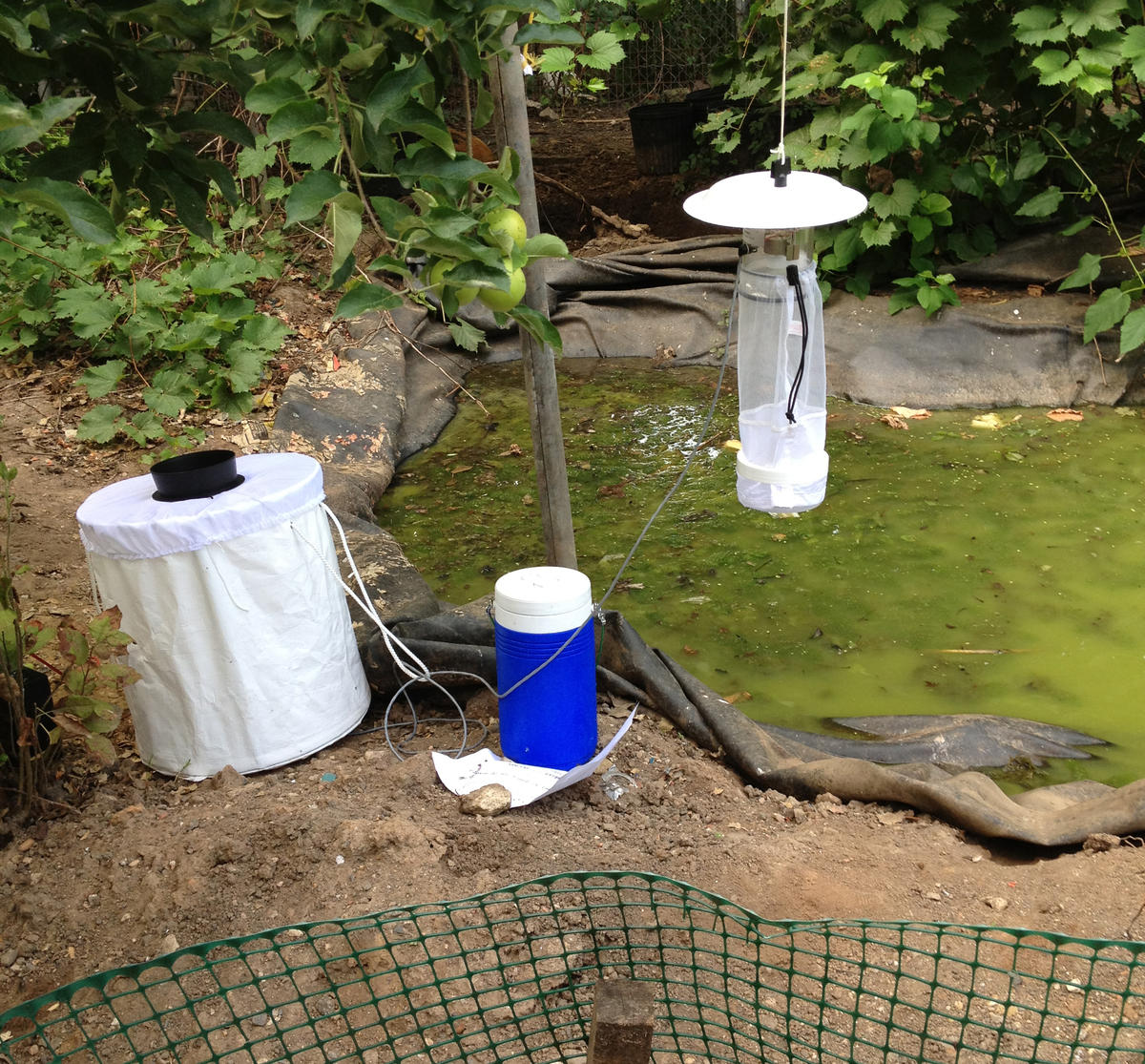 Baltimore Ecosystem Study (BES) mosquito traps