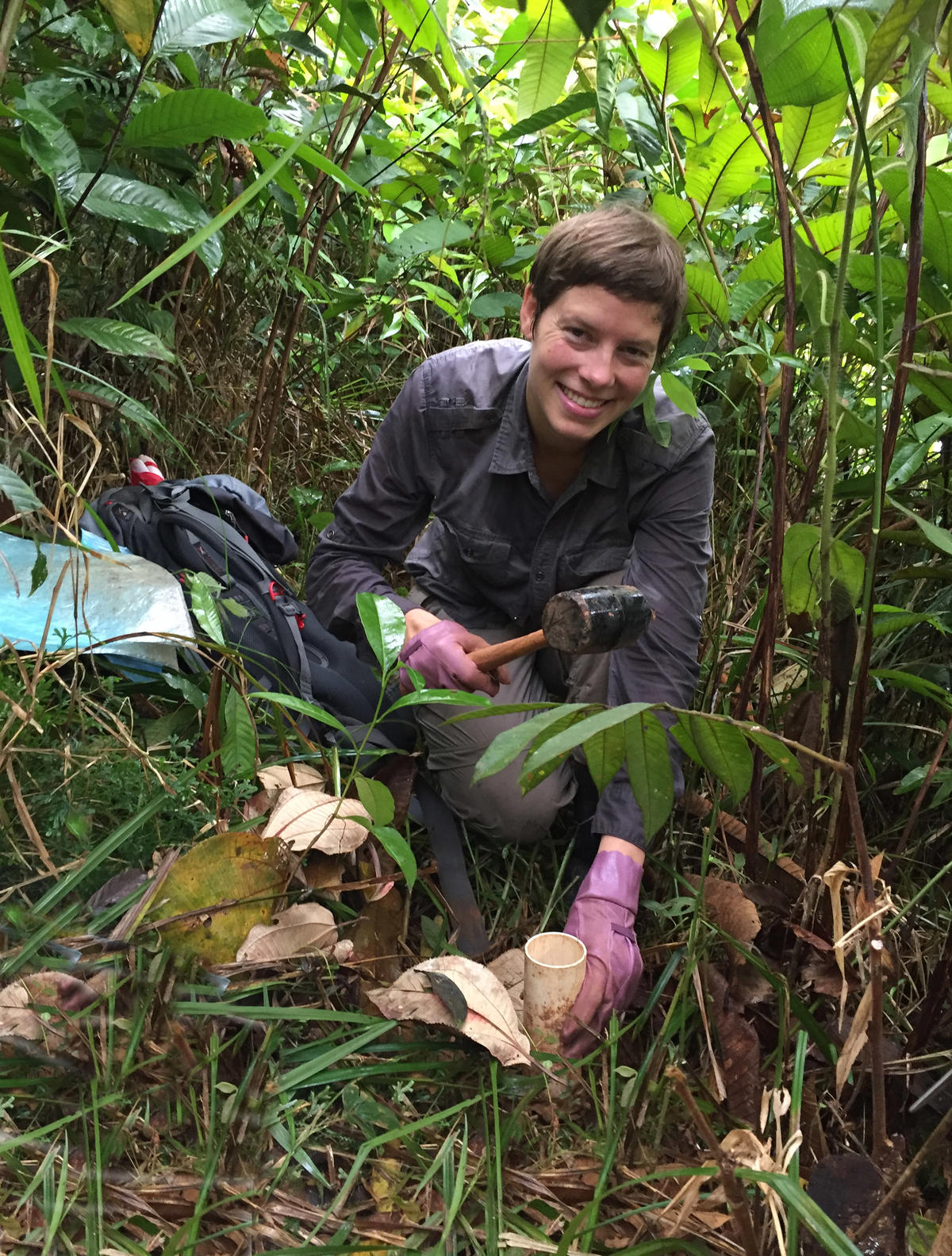 Sarah Batterman collects soil and root cores in a recovering Panamanian rainforest