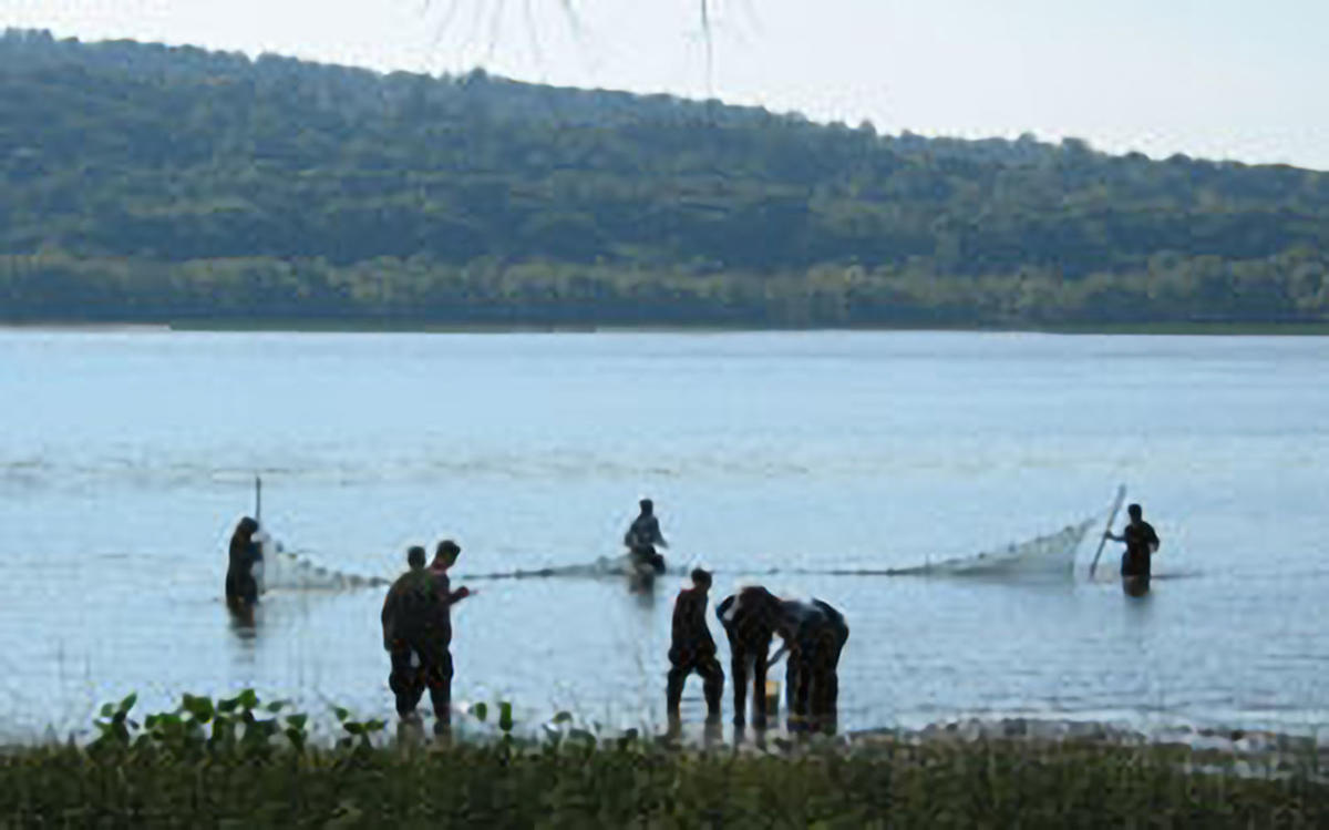 seining hudson